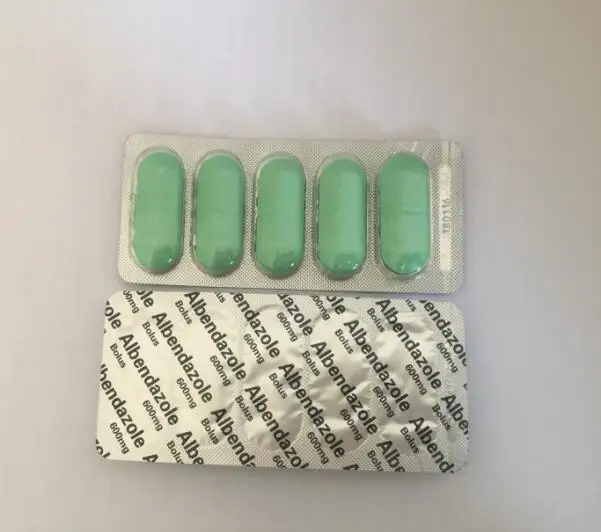 
albendazole 600 veterinary parasite drugs importer 