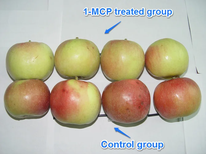 
Top quality fresh keeping products 1-MCP/1-Methylcyclopropene sachet 