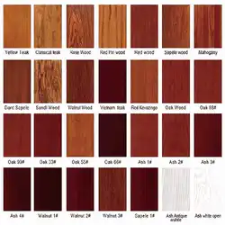 America top sale luxury design entrance doors villa front entry wood pivot door