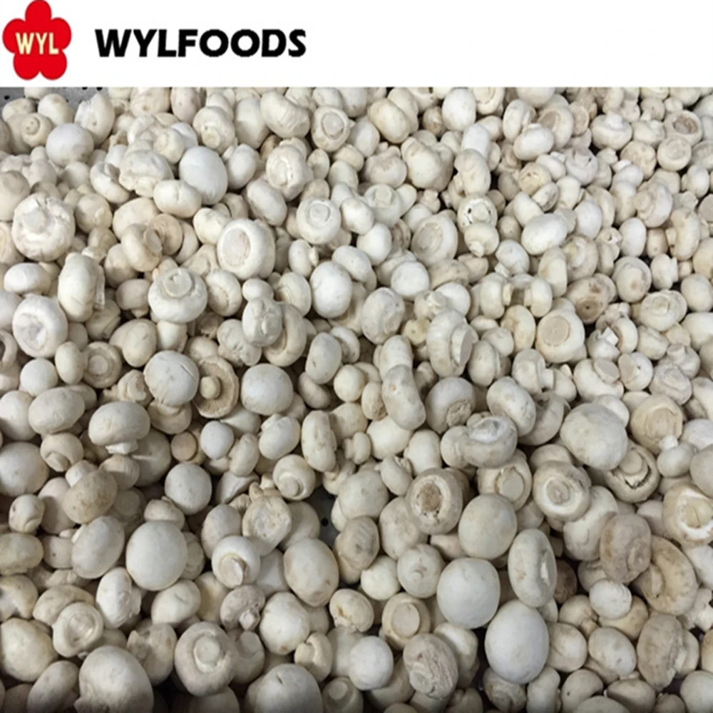 Замороженные грибы, выращивание грибов, цена