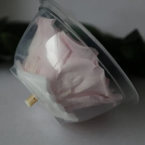 
Online Sale Preserved Flower Buds For Centerpieces From KIFA Center 