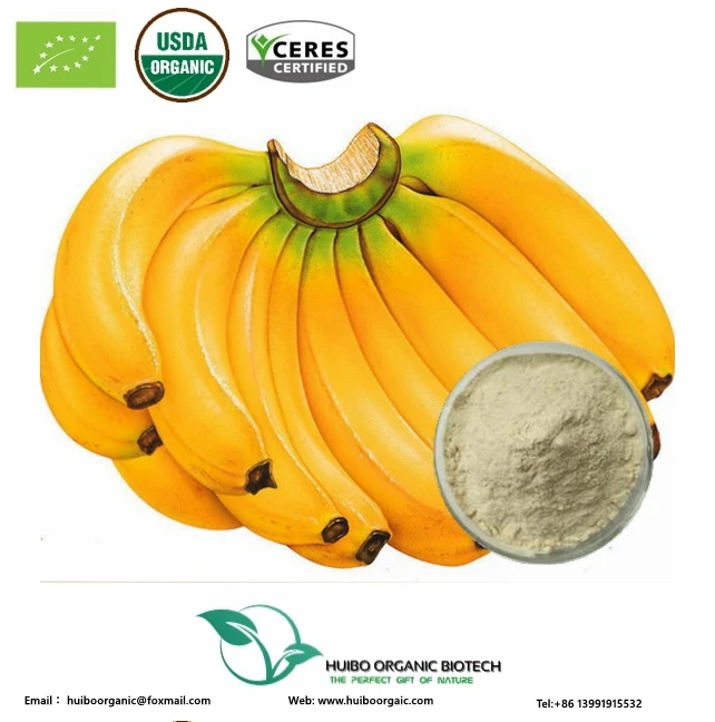 Wholesale bulk instant Banana powder / FD green banana flour