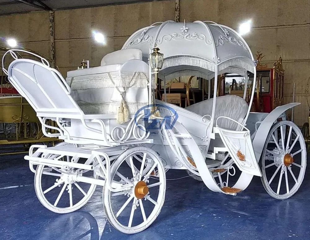 
Horse Carriage Customized design YZN Pumpkin Horse Drawn Carriage European Style 
