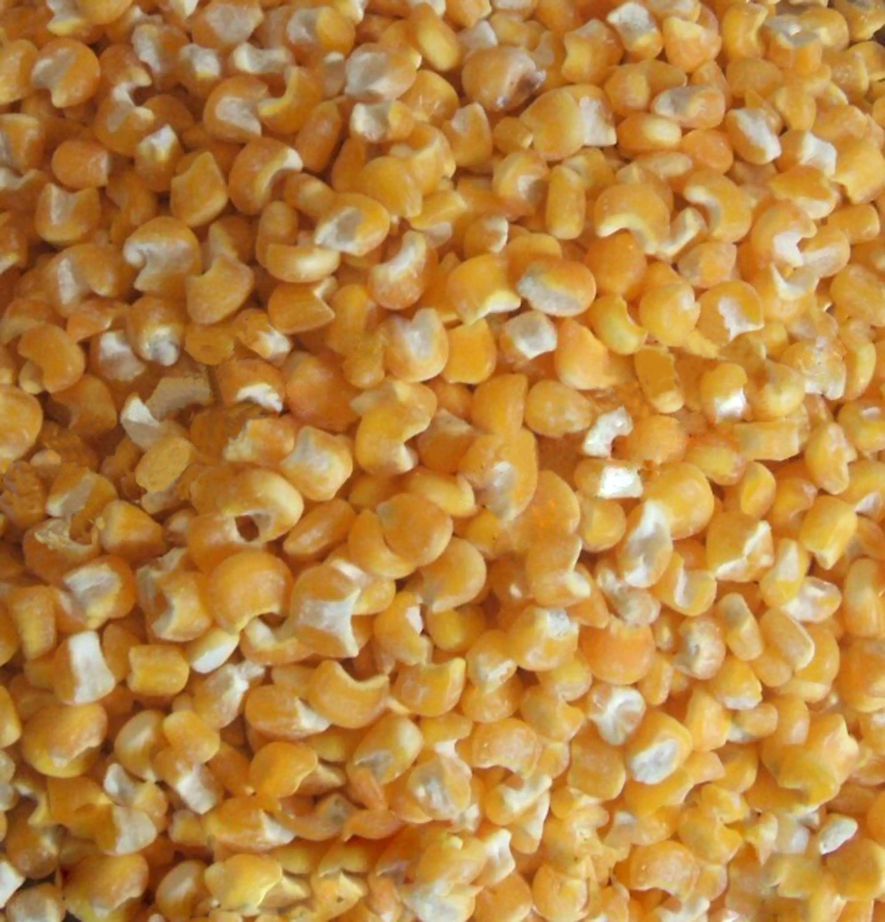 MTPS Series Corn Maize Peeler Machine