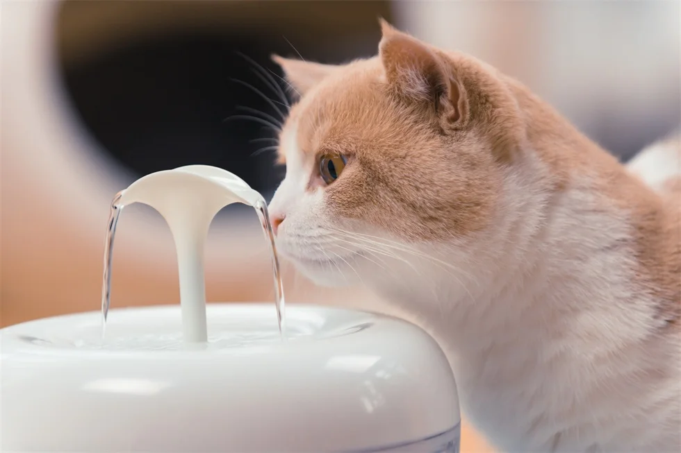 PAWOOF cat water fountain with a powerful filter hot selling Pawoof cat fountain cat drinking fountain