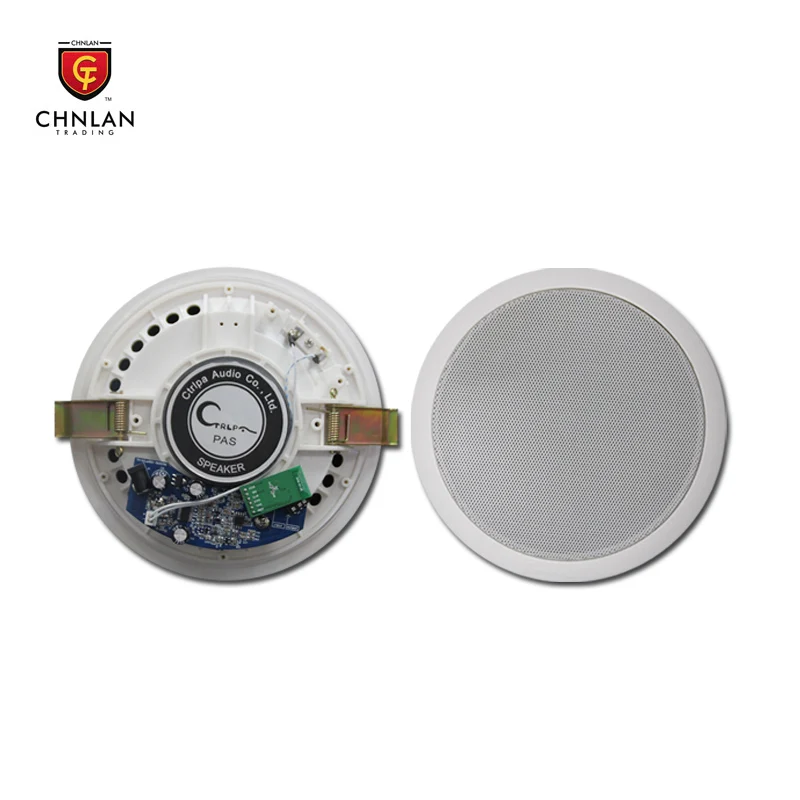 2019 TOP selling CTRLPA CA824B 20w Active  Wireless Ceiling Speaker