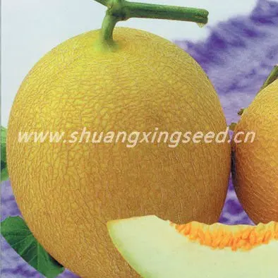 Желтый Детский высокопрочный Гибридный семена дыни f1дыни