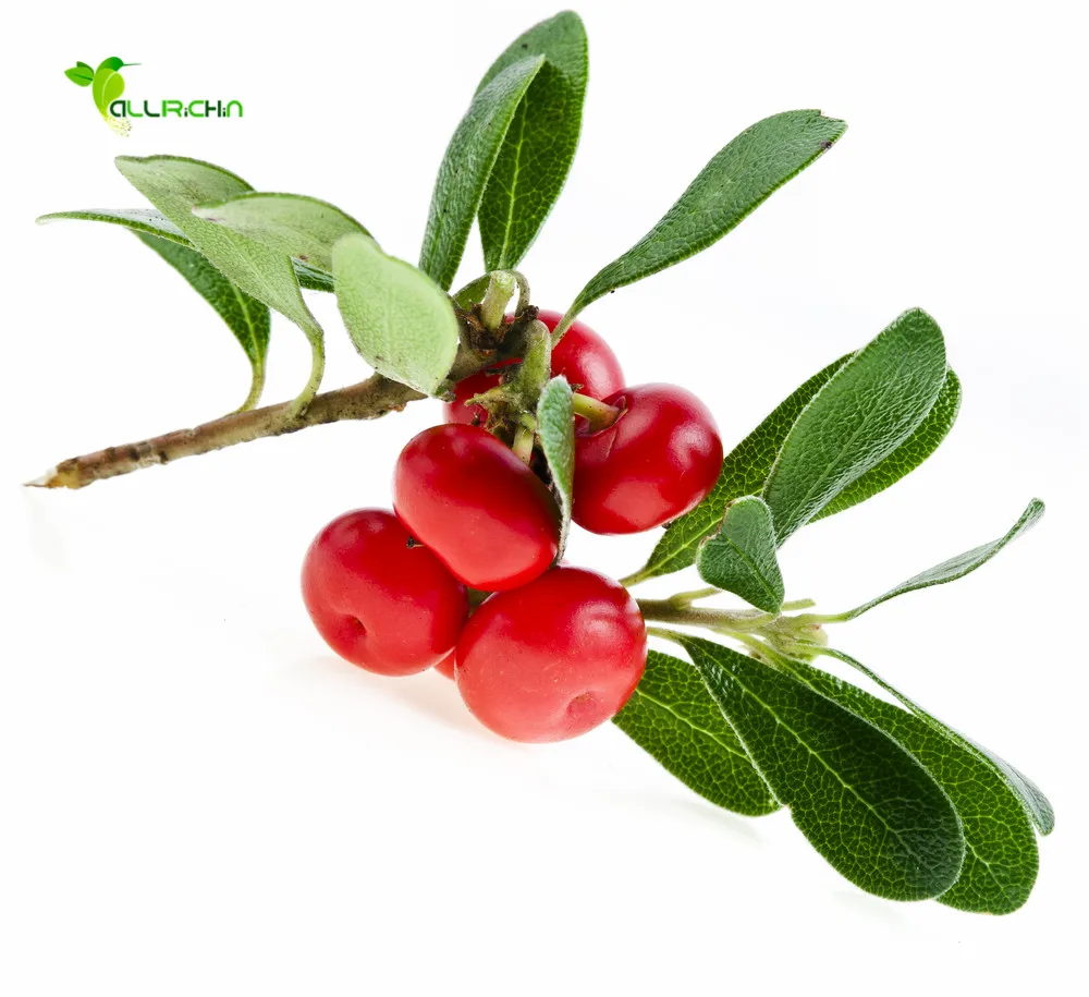 Healthway Factory 100% Pure Alpha Arbutin Powder