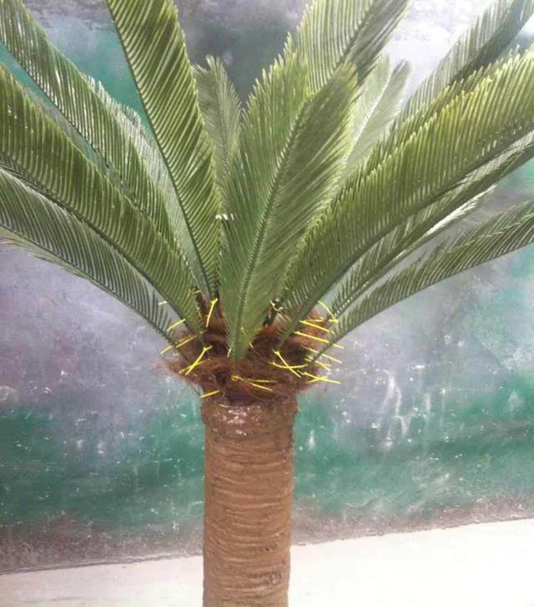 Camouflaged palm tree antenna tower disguised antenna