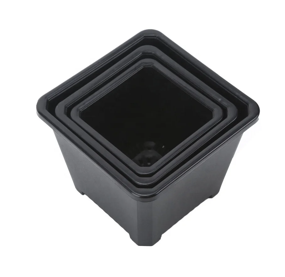 Garden Sets 4 inch Plastic Sedum Crassula Ovata Bonsai Flower Planter Pot in Blulk