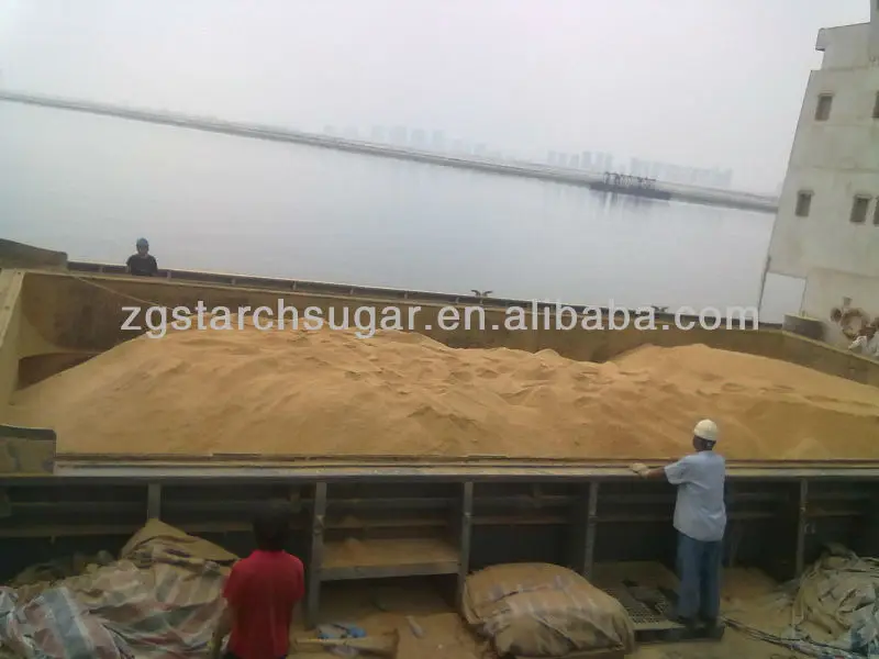 corn gluten cattle feed