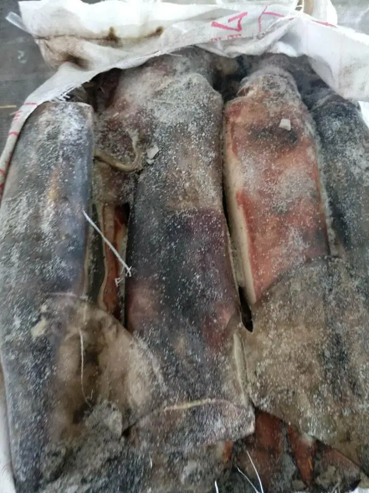 
Frozen Peru Giant Squid Dosidicus Gigas 2-4kg/pcs W/R 