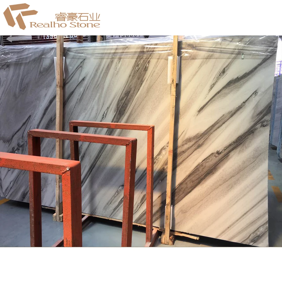 India Palissandro Toronto Saavar Brown Marble With White Background