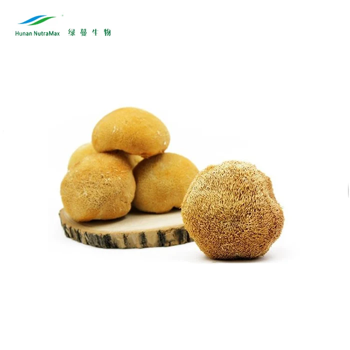 China Manufacturer Lion's Mane Mushroom Extract Powder Polysaccharides for Dietary Supplements