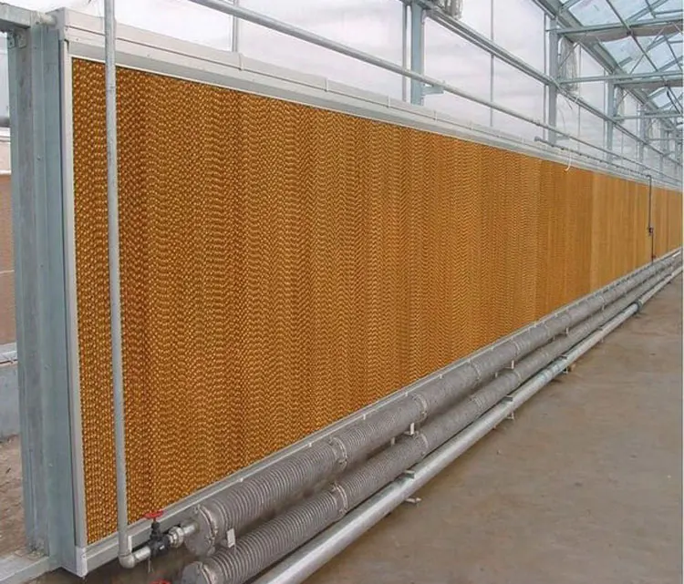 hot sale lowest price new design pad and fan greenhouse cooling systems