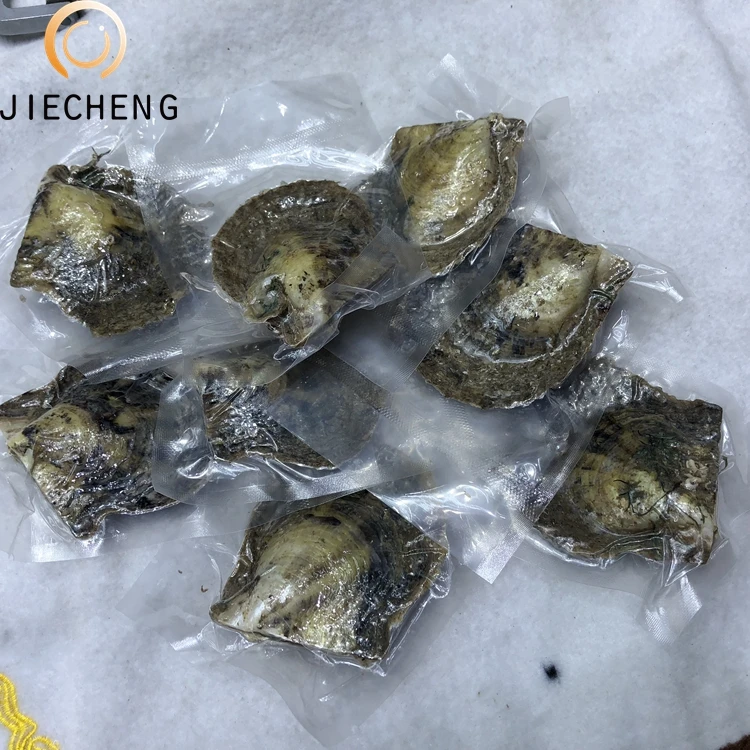 2018 Hot sell akoya natural saltwater pearl oysters for offers sale