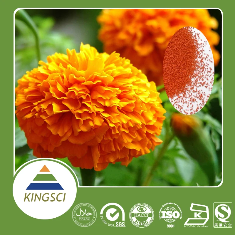 
Marigold Flower Extract Lutein 5% 10% 20% CWS CWD beadlets 