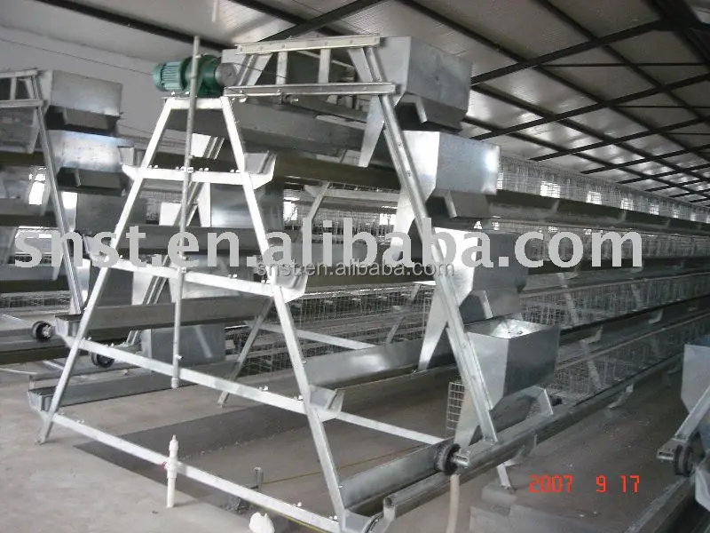 Good price second hand poultry show cages with CE certificate