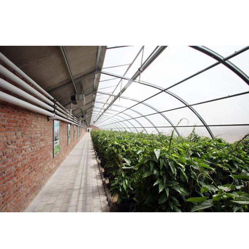 Plastic sheet greenhouse cover agriculture polyolefin (PO) films