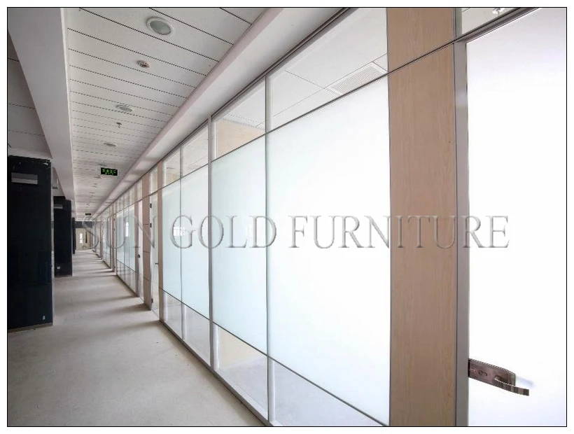 Luxury Black Frame Types of Glass Wall Widely Used Office Room Dividers (SZ-WS572)
