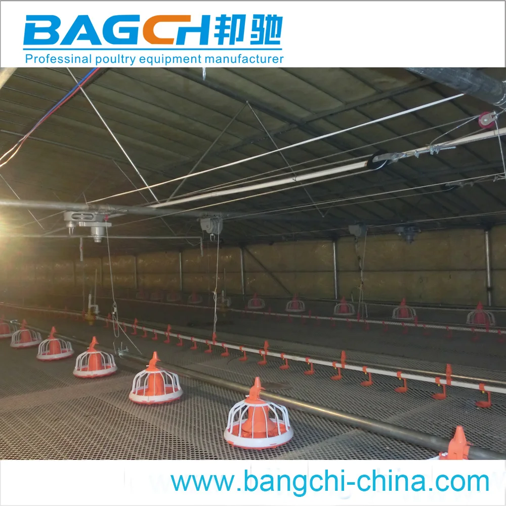 Broiler Sheds Design for Poultry Farm Equipment