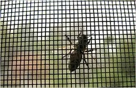 Security Fiberglass Mosquitoes Screen Dust Proof Privacy Window Screen Mesh