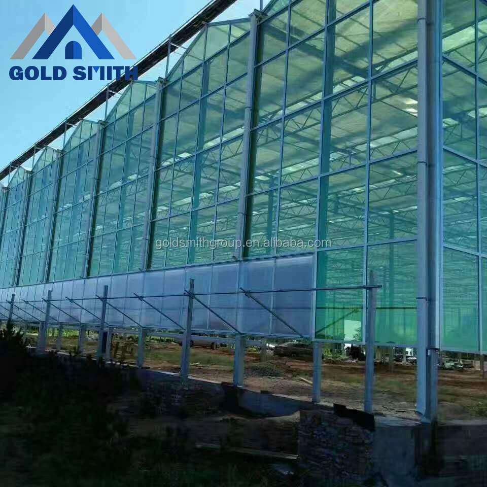 
Professional Venlo Type Hot Galvanized Steel Pipe Greenhouse with Intelligent Self-controlSystem 