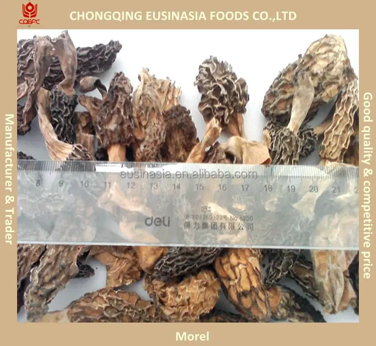 
Dried mushrooms sale boletus edulis/champignon/morchella/oyster/shiitake etc 