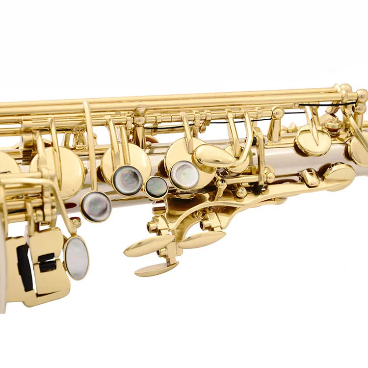 
Accept OEM Dasheng Music DSAS-713 Professional White Brass Pro Cheap Saxophones 