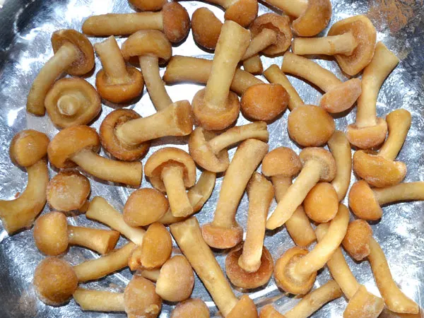 
Buyers for Detan Frozen Nameko Mushrooms 