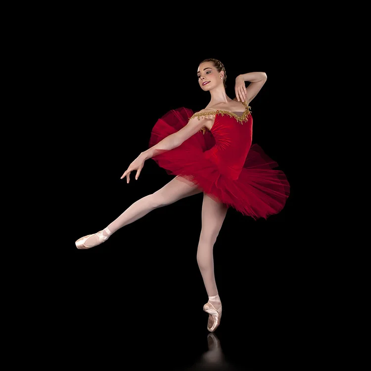 Red velvet Pancaked Professional Ballet Tutu, Dance Performance Classical  Stiff Tutu  Costumes