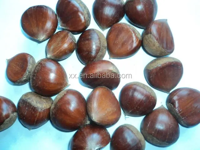 
Organic Raw Fresh Chestnut Chinese bulk chestnuts price 