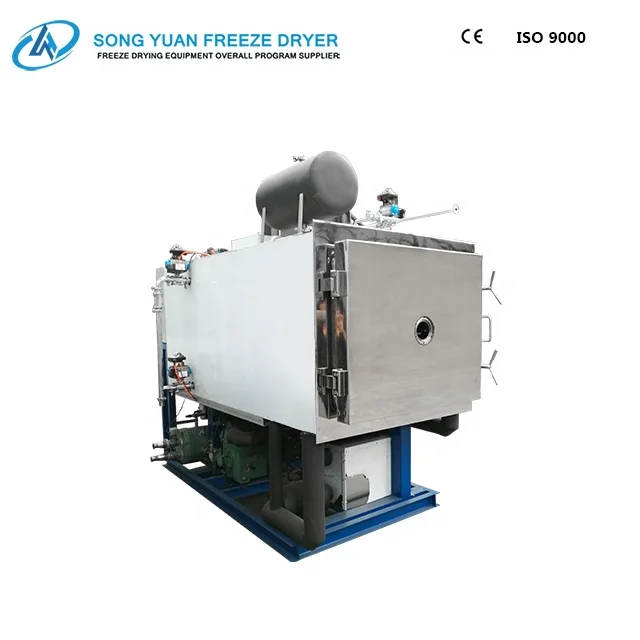 
china Freeze Dryer Machine, Vacuum Lyophilizer for food, medicines, biological, factory price scientific freeze dryer GZL-2 