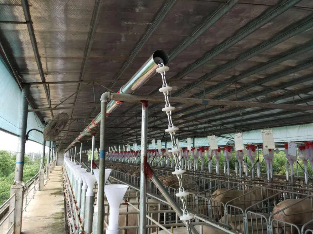 Pig Through Pig Automatic Feeder Feeding Troughs for Pigs