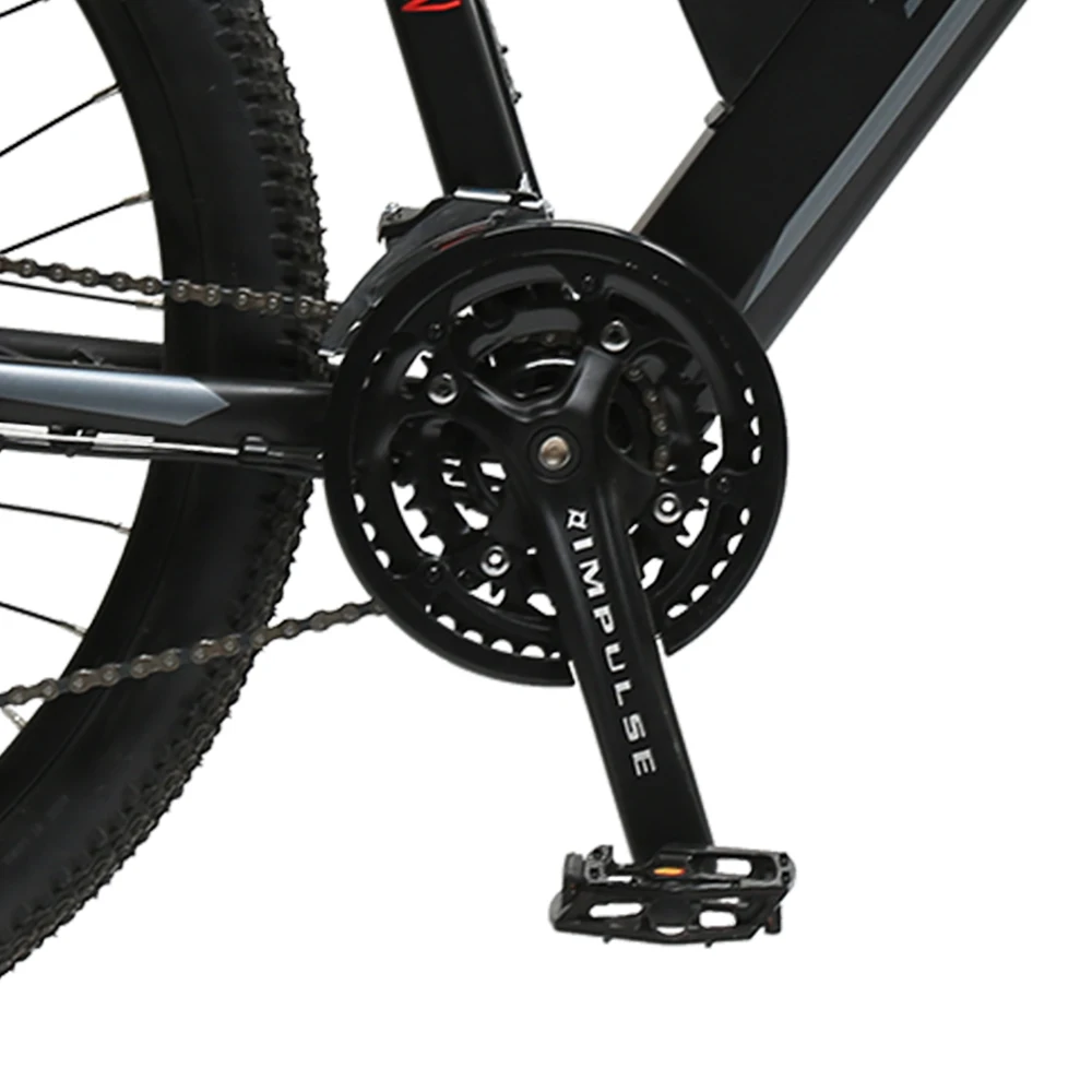 TXED Mountain Electric Bicycle With Good Price Rear Hub Motor mtb e bike