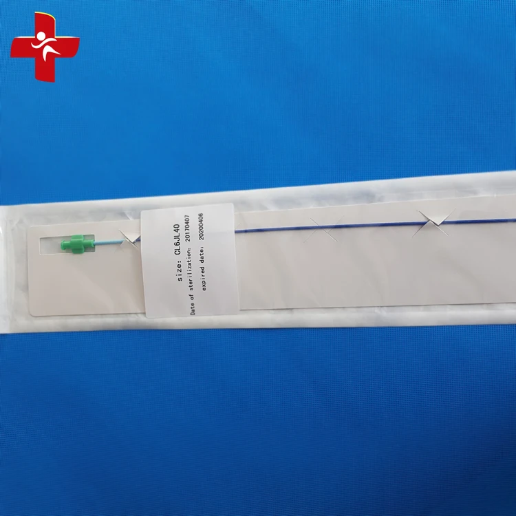 Guiding Catheter