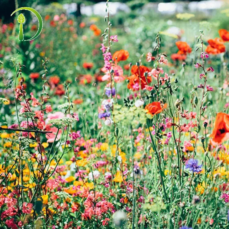 High quality low price 100% natural pure honey 500g glass bottle