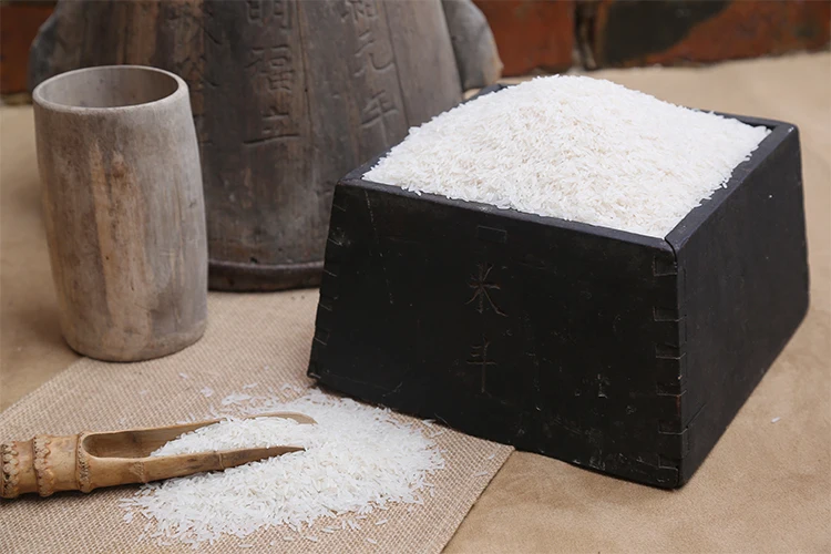 Chinese Fresh wet Instant Noodle for sale at best lowest market prices