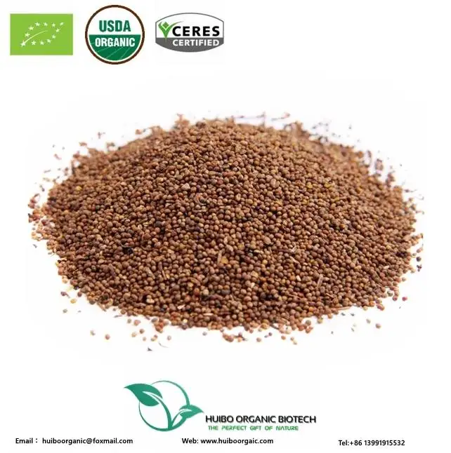 Cuscuta chinensis  / Dodder Seed / cuscutae seed extract