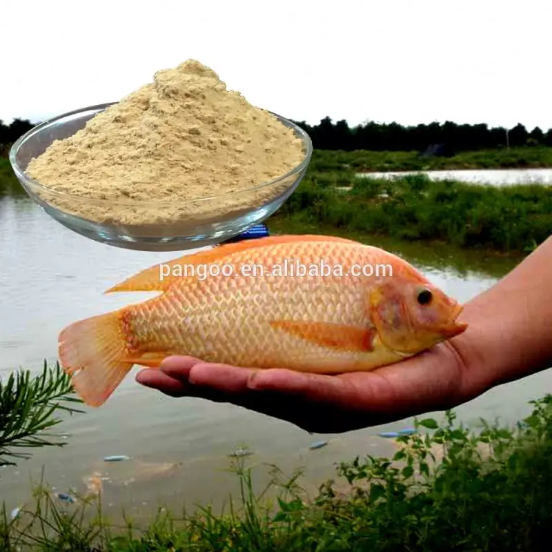 PRO-01 Bacillus Subtilis Fermentation Feed Additives for animal feed use