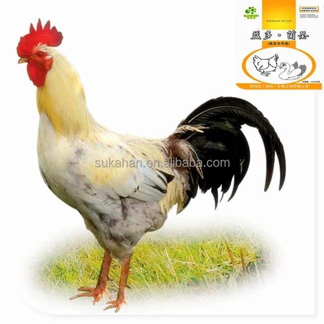 Animal Feed Biological Additive/ feed probiotics / concentrated compound enzyme