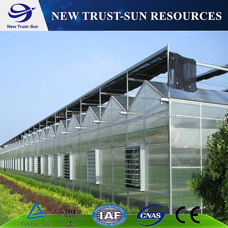 
China customized hydroponic growing systems polycarbonate sheet greenhouse for sale 