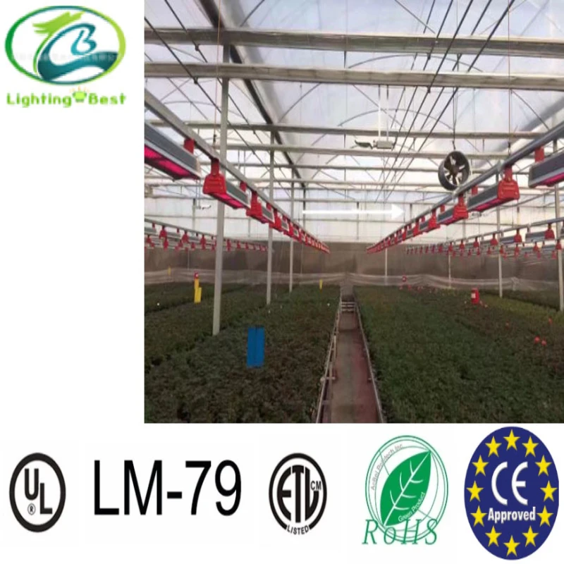 
full spectrum led linear grow lights horticulture lighting greenhouse waterproof 200W LED grow lights for indoor planting 