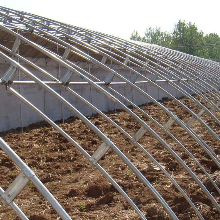 
Commercial used film cover passive chinese solar glass greenhouse 