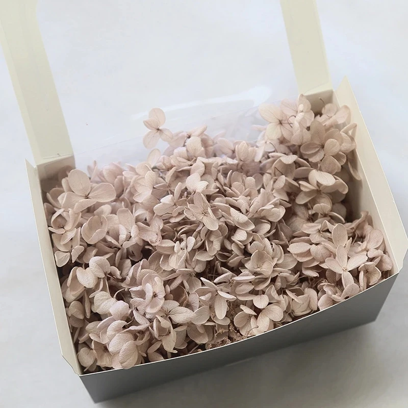 wholesale pink hydrangea flower fresh cut flower preserved hydrangea for hydrangea flowers wedding