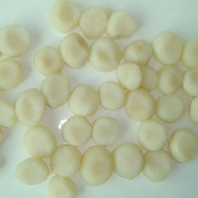 Chinese Wholesale Prices Canned Fresh Water Chestnut Whole/Slices/Dices from Origin