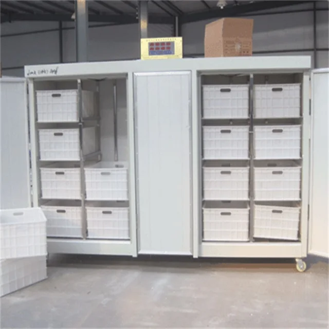 High quality automatic mung bean sprout growing washing machine for sale