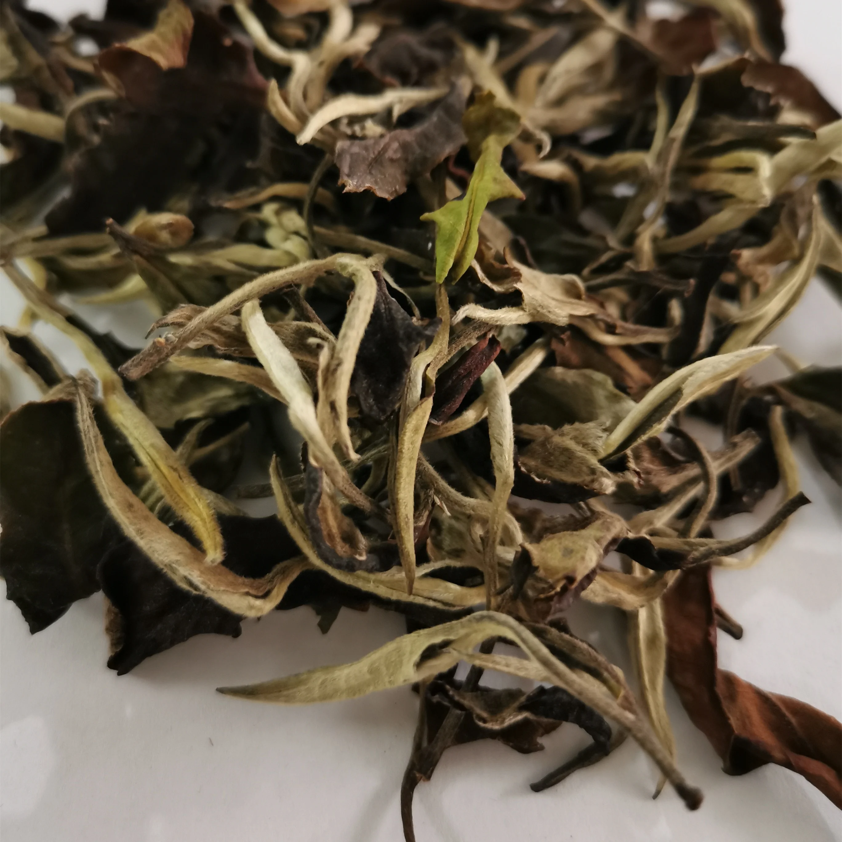 
EU Certified Organic Loose Tea Moonlight White Tea 