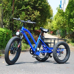adult electric cargo tricycle/three wheel bicycle for adult(RSD-706)