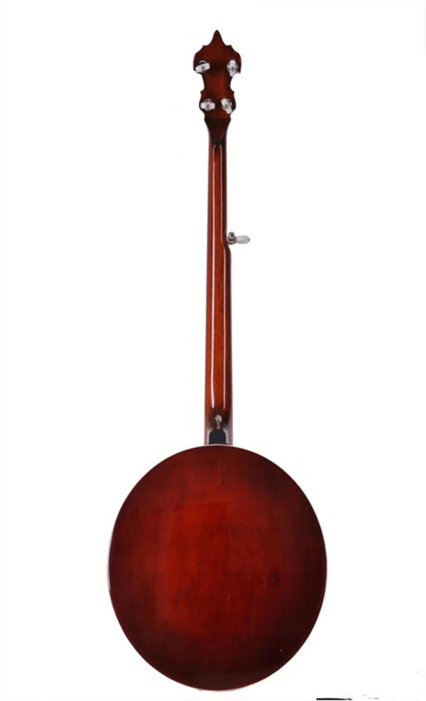 String Instrument Music Instrument Banjo